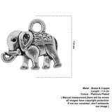 Elephant charm
