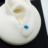 blue studs
