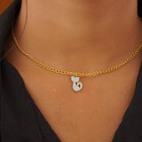 dani charms