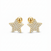 Star shaped studs D544