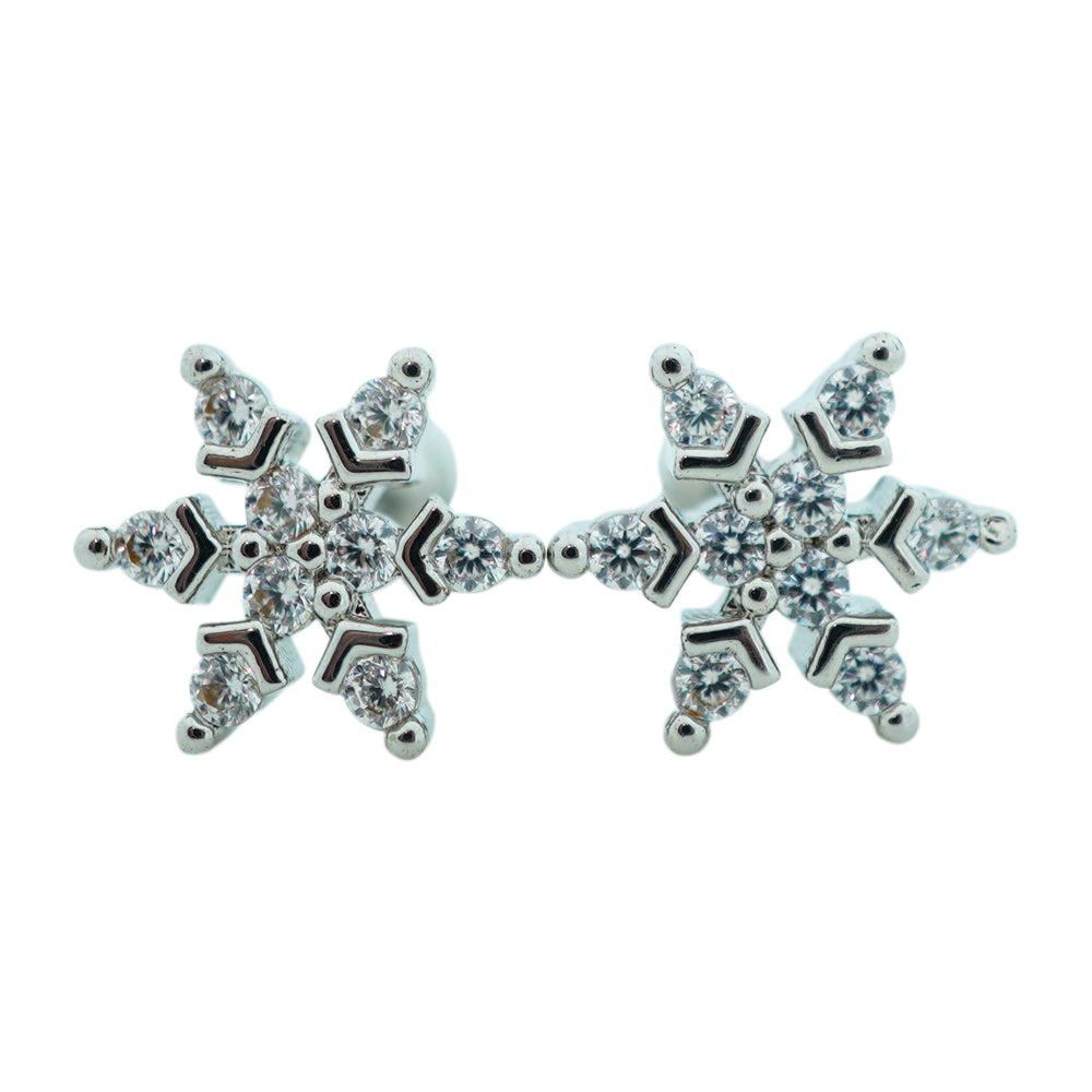 Frozen earrings D499