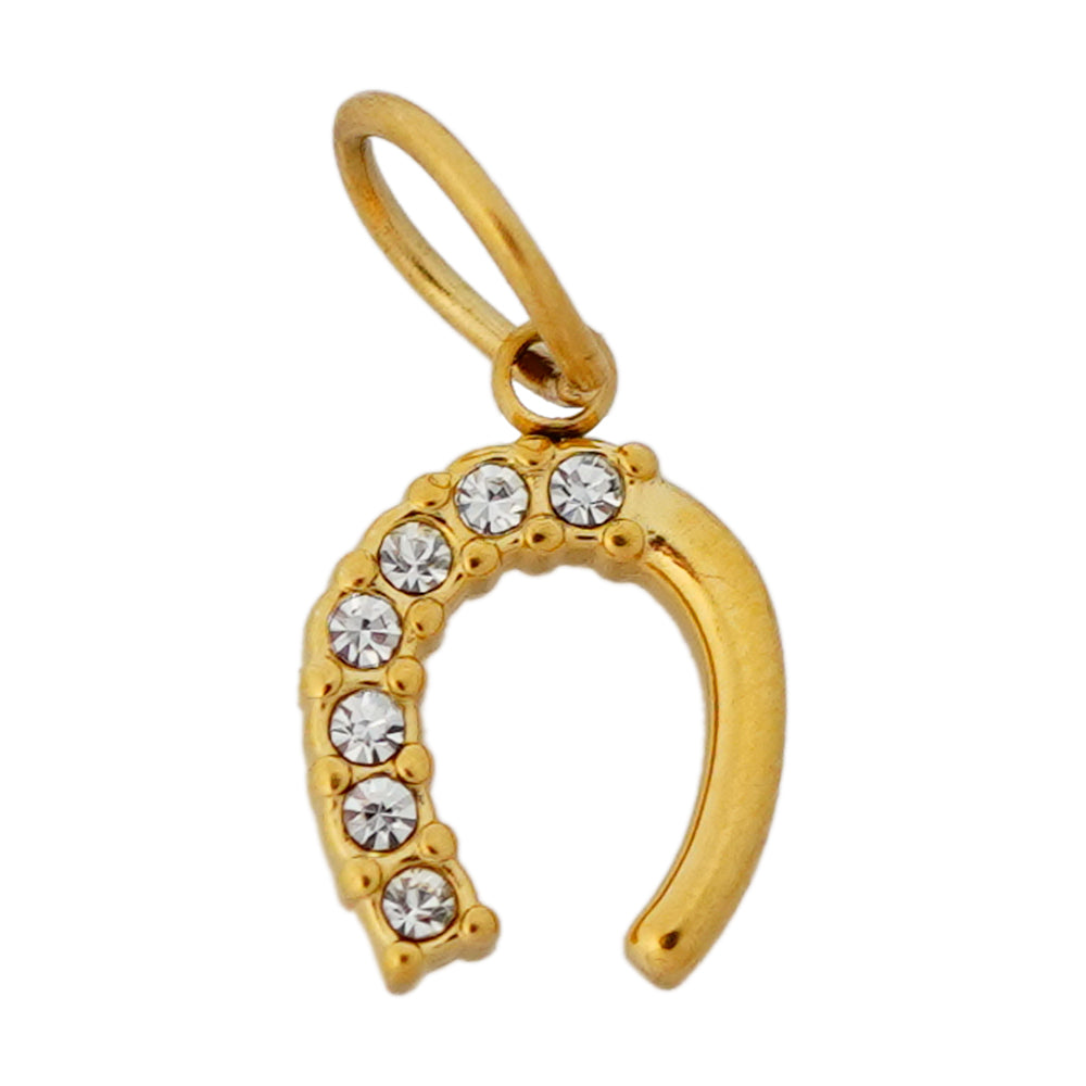 horse shoe charm