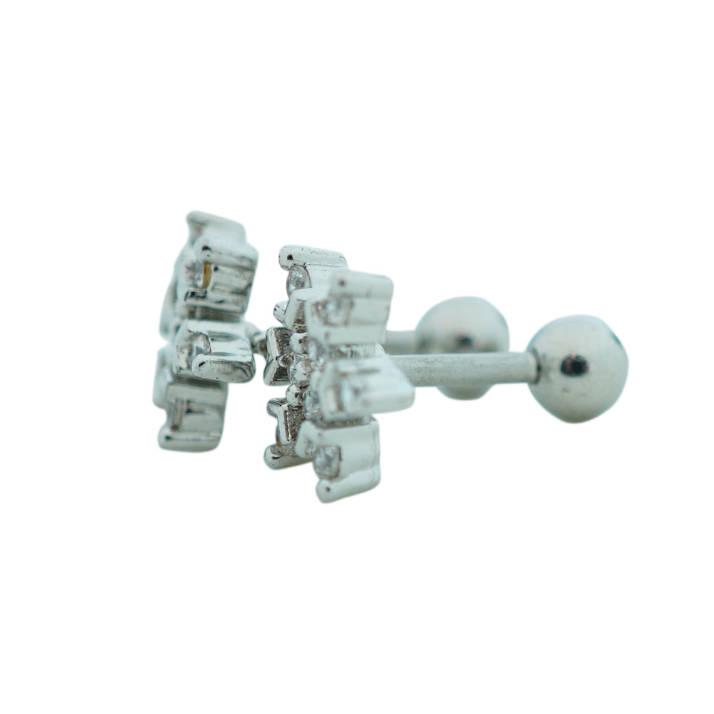 Frozen earrings D499