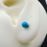blue studs