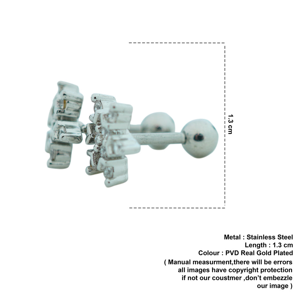 Frozen earrings D499