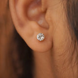 rounded zircon studs D773