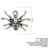 SPIDER CHARM
