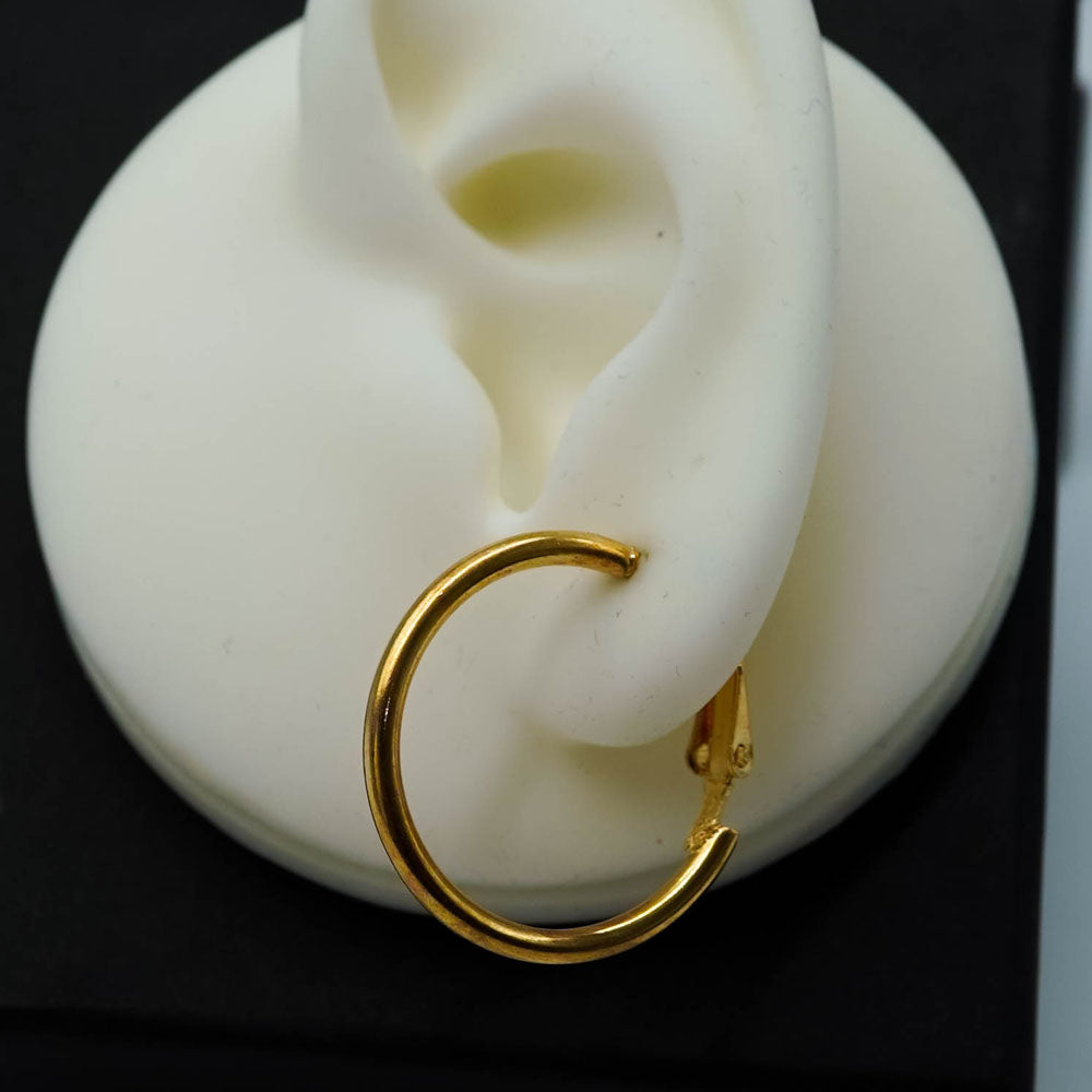 large golden hoops